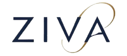 ZIVA studio